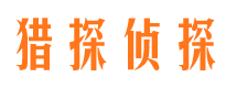 亚东侦探